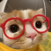 K (@laiii0818) 's Twitter Profile
