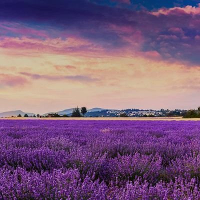 JakeofThe_air's profile picture. Proud American! My favorite colors are red white and blue 🇺🇸