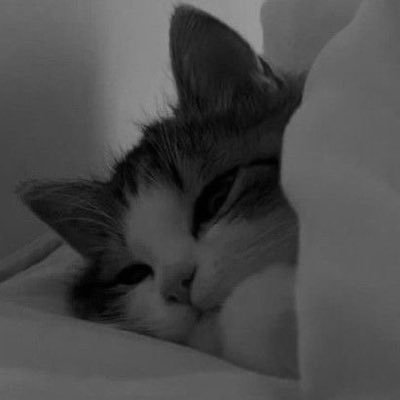 xlkvzy's profile picture. 頭文字DAC￤らむね￤SS6￤Apex