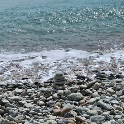 hy_phen_in's profile picture. 재테크 계정