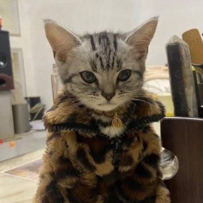 berkansand's profile picture. 
