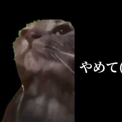 ｳｽﾞｽﾞｽﾞ