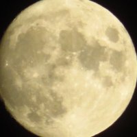 好きな言葉は20%OFF (@kimums_1010) 's Twitter Profile