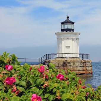 TaromBWaves's profile picture. A naturist, lover of the ocean, conservationist