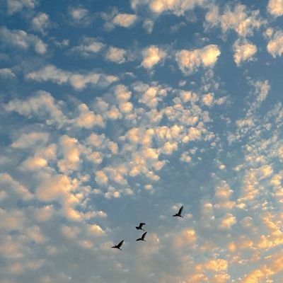 saniya8770's profile picture. Love laugh live