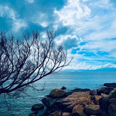 Allstar61969992's profile picture. 热衷于探索AI创作工具，学习与收集并行。