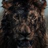 AmazingSights's profile picture. Taking a look at some of the most insane animal encounters Clips caught on camera.@stake