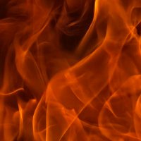 JF52_N (@jf52_n) 's Twitter Profile