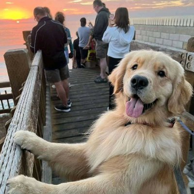 saxivfnn's profile picture. 🇮🇹|🇪🇦
Mng @mngedx
FA