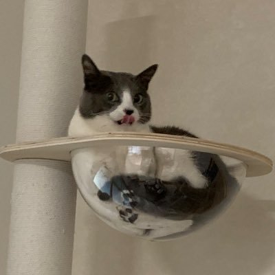 harunoumiharu's profile picture. ❤️ 浅田真央さん ❤️🌹Everlasting33🌹❤️BEYOND ❤️ 京増修史さんの弾くピアノ ❤️🔑かけたり、外したりします🙇