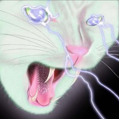 doge1999kim's profile picture. 👁️