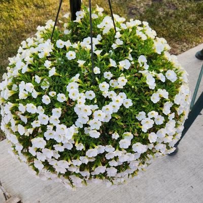 mhhamdanbin's profile picture. Love Yours
📵