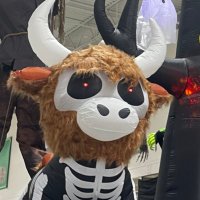 cub050 (@bear_watcher050) 's Twitter Profile