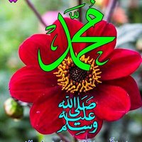ساره (@mmmdmmmd156831) 's Twitter Profile