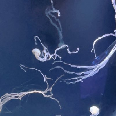宮 夜壱☾⋆·̩͙⑅*さんのプロフィール画像