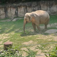 imkardiar (@imkardiar) 's Twitter Profile