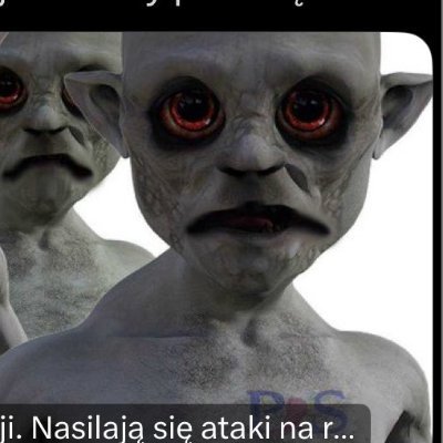 Im dłużej żyję tym bardziej nie lubię czeciejerpe.
Żyjemy w czasach saskich.
It is better to be far right than exactly wrong.