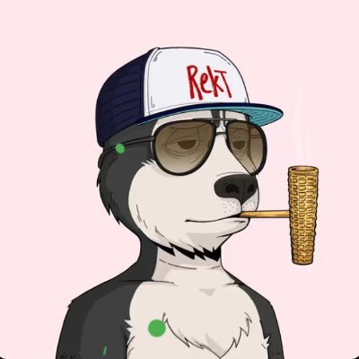 Rekt1k's profile picture. Entered the pool as a degen. Left it as exit liquidity.