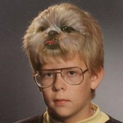 ππ¦ Profile