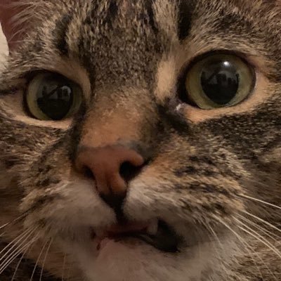 my name is carla i’m 12 years old and a grumpy fat bitch
