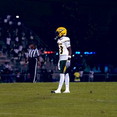 C/O 2028 | 5’11 142 lbs | 3.1 gpa | db/fs |damarionrowe23@gmail.com #9048820538 @EdWhiteFootball