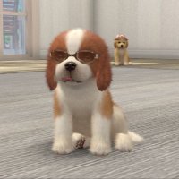 asopi (@leeasts) 's Twitter Profile