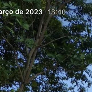 ArthurM99161623's profile picture. 