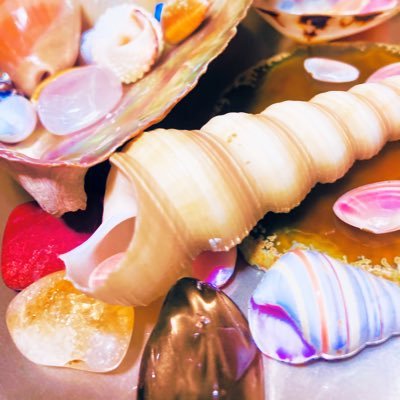 13974268shell's profile picture. 黒執事→0年0組→アヴちゃん&女王蜂&龍宮城  Waltzからのド新規　Rayさん寄りの全員大好き城推し 成人済