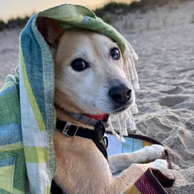 dalleydilley's profile picture. Concerned for all