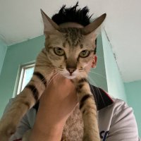 Tainxie Nguyen (@tainxie1601) 's Twitter Profile