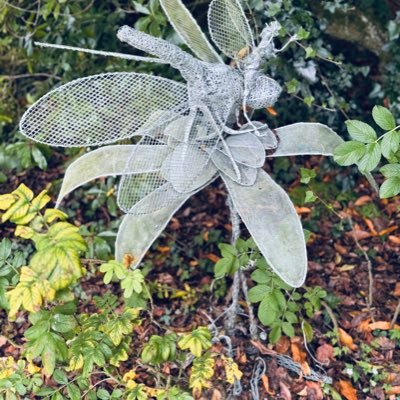 king_king6025's profile picture. 