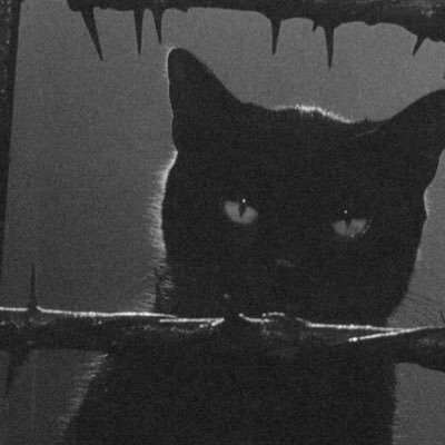 _screwppl's profile picture. 