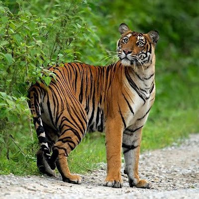 ShashankaRaja's profile picture. Let's talk, we can discuss any topic.