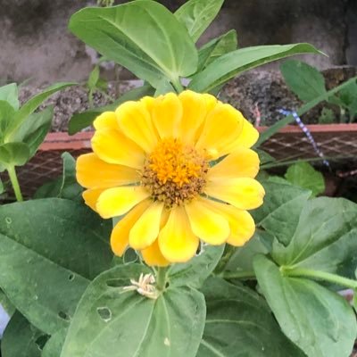 Etgbn's profile picture. always, in all ways