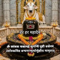 nitesh Singh (@rahulsingh35948) 's Twitter Profile