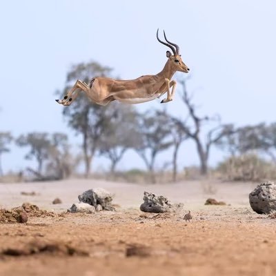मैं किसी से बहस नहीं करता... जो है, जैसा हैं, सब ठीक हैं...!!