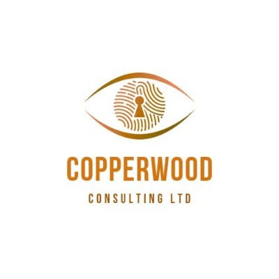 Copperwood Consulting Ltd is a modern consultancy firm specializing in IT security, payments and digital channel solutions.