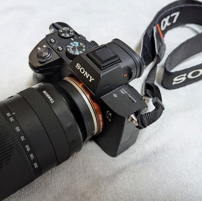 shichiEcamera's profile picture. カメラアカウント　本アカ→@shichi_14