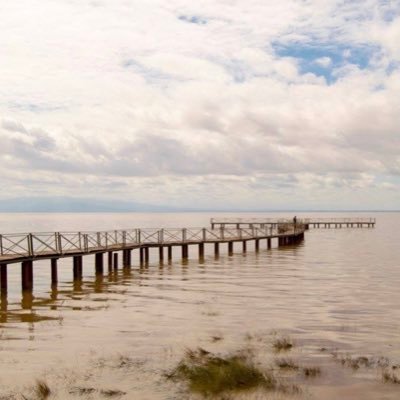 CarolAyalad's profile picture. 