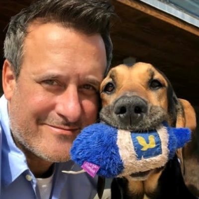 Albertbets01's profile picture. Vetted betting tips • Free starter pick in Telegram