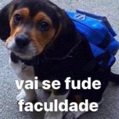 eu_verbo's profile picture. caju caju eu leio sinais