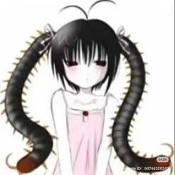 #gongolotwt 𓆨
Página sobre gongolos
Basicamente miriápodes.