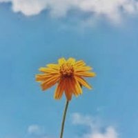Omkarax (@omkaraxtwit) 's Twitter Profile