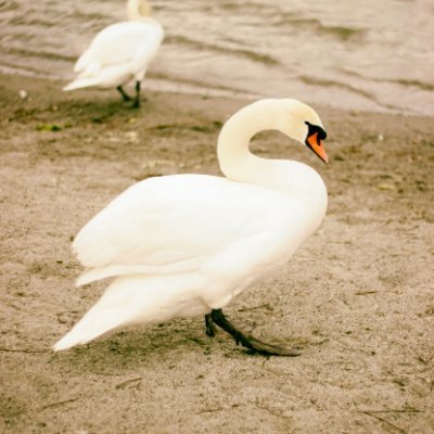 soumili_ja48072's profile picture. ⛺ #camper4life🧙(🧙,🧙)🧙,🧙