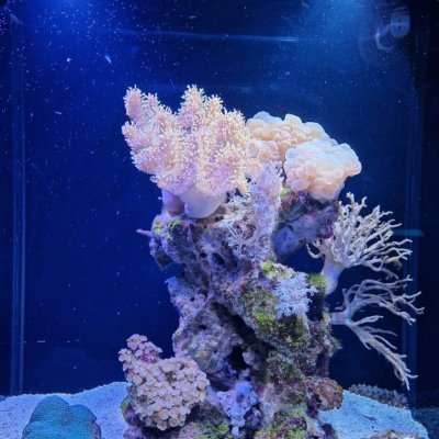 SNani30299's profile picture. 