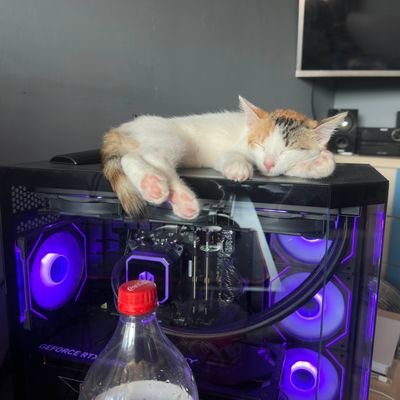 AdaptyxD's profile picture. xD