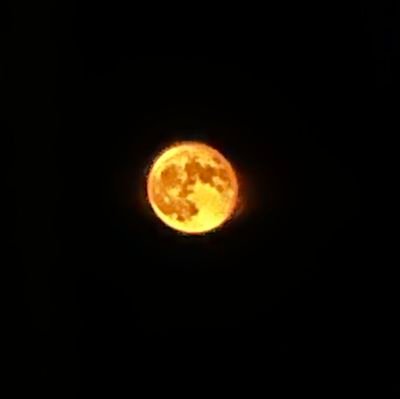 Mo42431091's profile picture. 