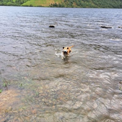 Alexdcfc17's profile picture. rams