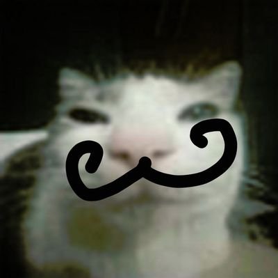 hovk20's profile picture. 