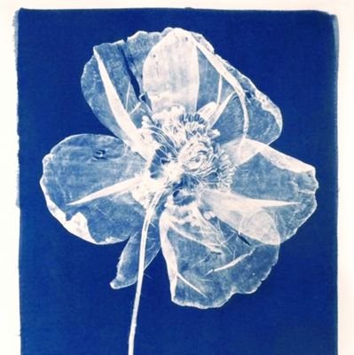 melog987's profile picture. 